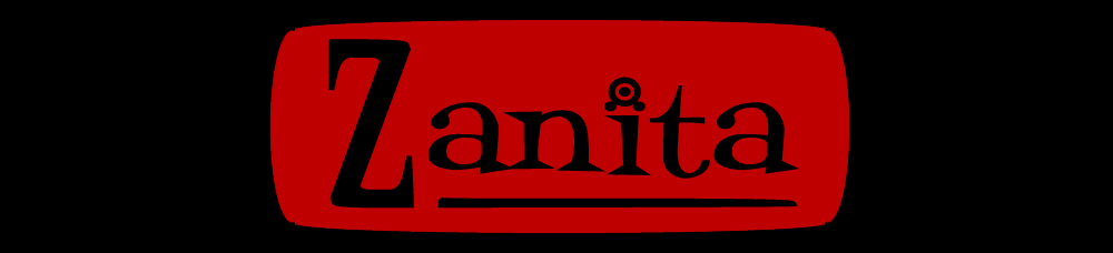 Zanita Guitar Amplifiers
